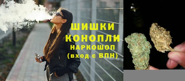 кокс Вяземский