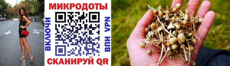 Галлюциногенные грибы мицелий  Мирный 